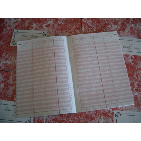 Registre des recettes journalières, ancien tracé, 48 PAGES