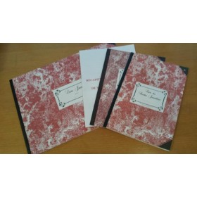 pack découverte, livre journal, recettes journalières, registre des immobilisations