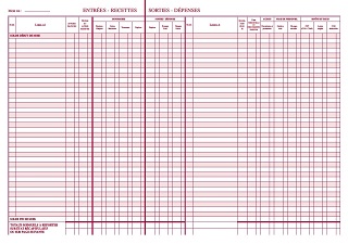 Journal Recettes Dépenses pour Professions libérales en stock à