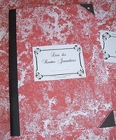 registres-de-comptabilite-registre-recettes-journalieres